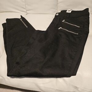 ADDITION Elle LOVE & LEGEND Premium Black Zipper pants Women's Size 14